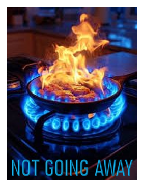 JunkSavvy tweet media