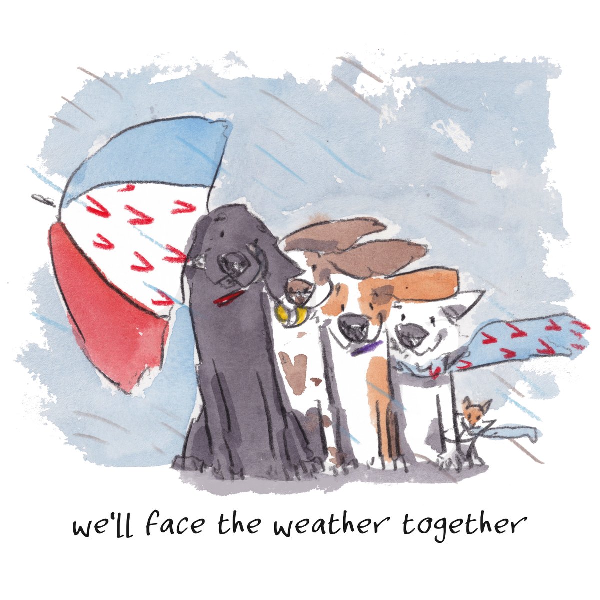 iain welch tweet media