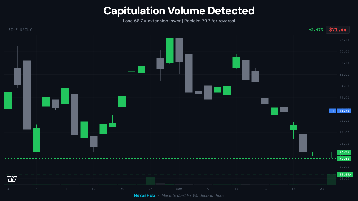 NexasHub tweet media