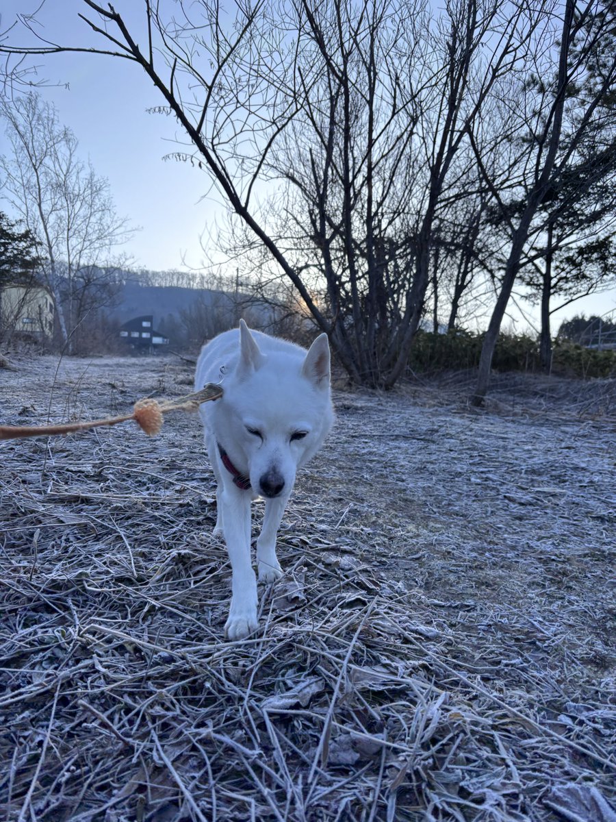 長谷川拡介 tweet media
