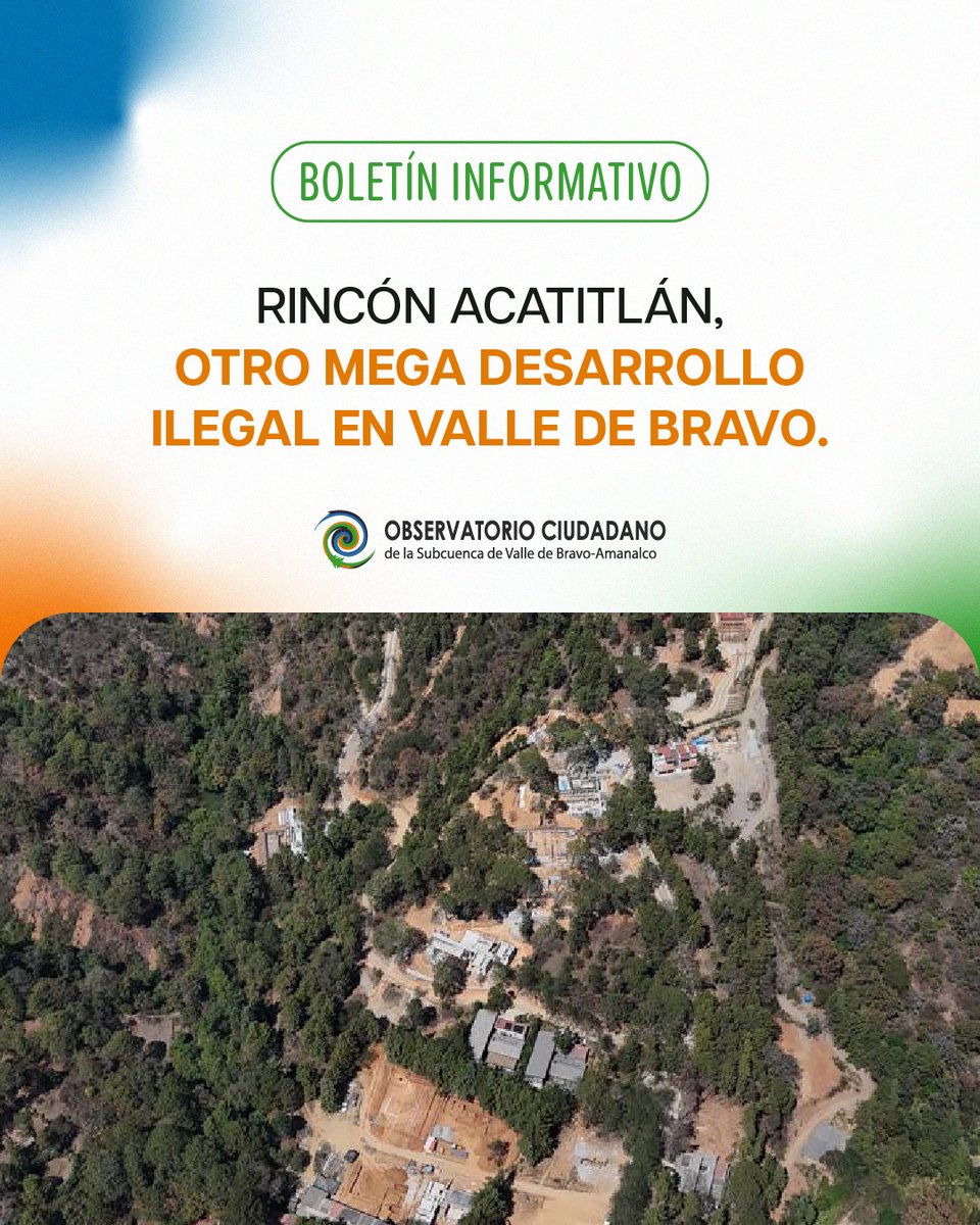 Observatorio Ciudadano tweet media