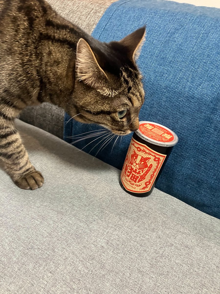 ぽんぽこFP tweet media