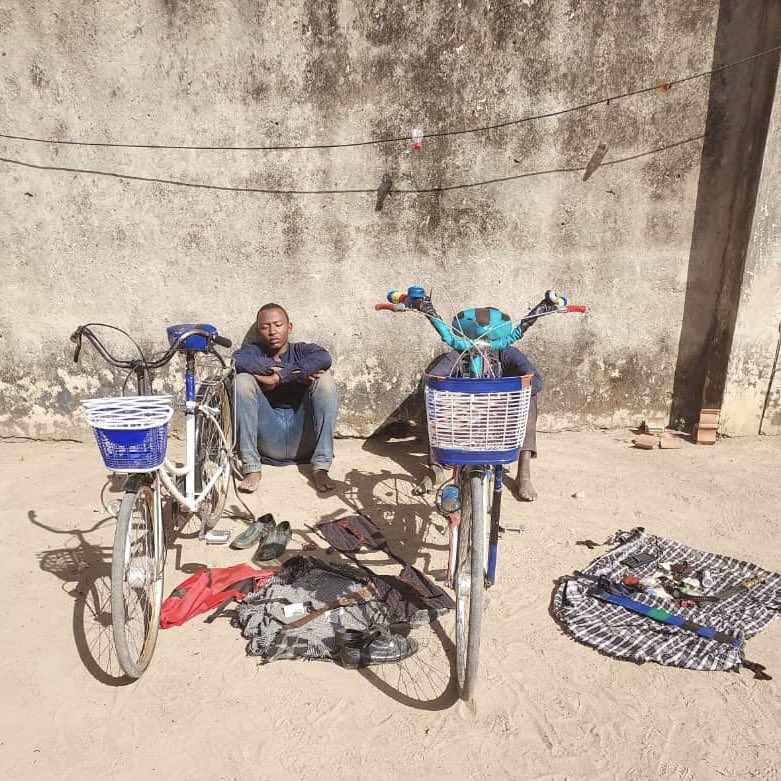 Zagazola tweet media