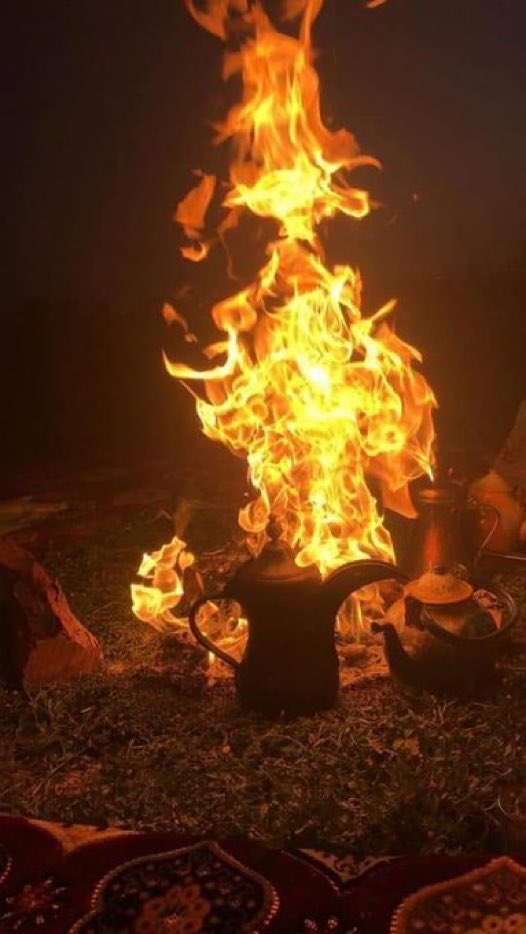 أحمد ❝ tweet media