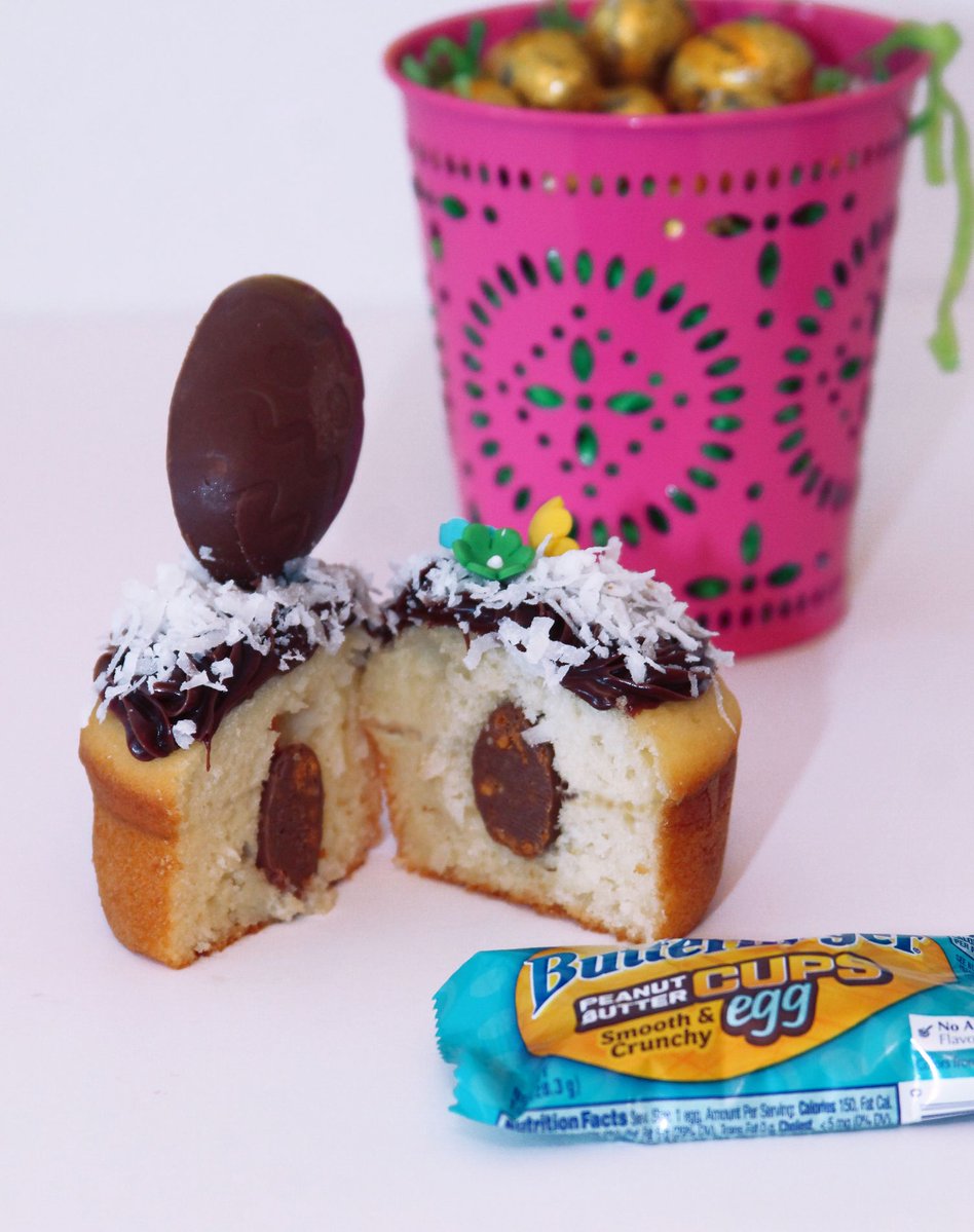 365 SouthwestFlorida tweet media