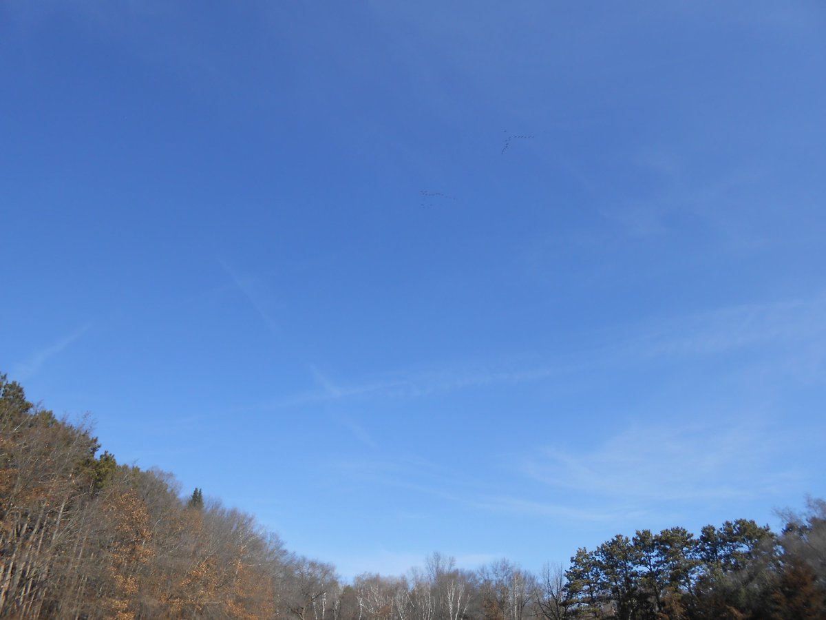 CHUCK HARRIS THE RIVER HERO tweet media