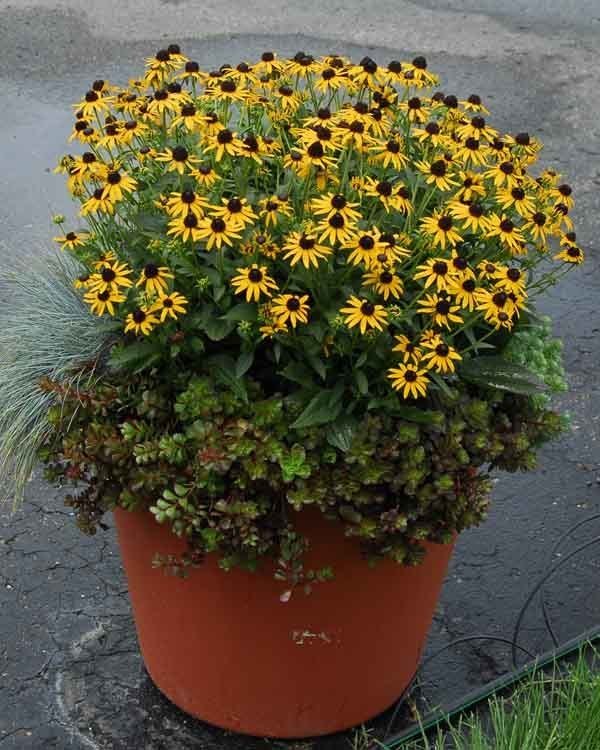 Give A Shit About Nature tweet media