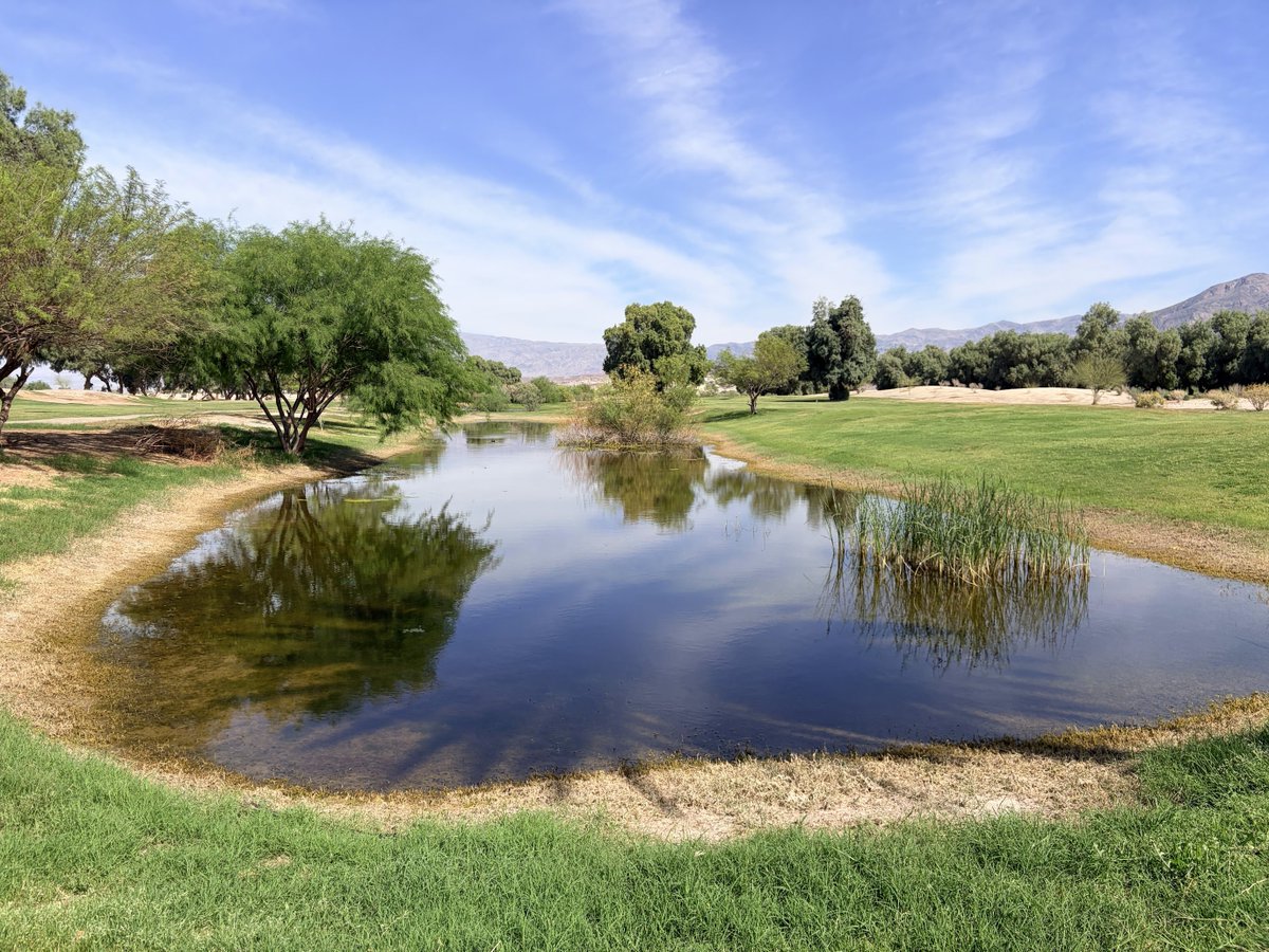 dbarringer_1958's tweet photo. Always amazed by the pockets of green and wetlands life at an oasis in the desert. 🐸🐰@DeathValleyNPS
“What makes the desert beautiful is that somewhere it hides a well.”
— Antoine de Saint-Exupéry
#DesertOasis #DesertMagic #DeathValleyNP #VisitDeathValley https://t.co/BBeii1wxZE