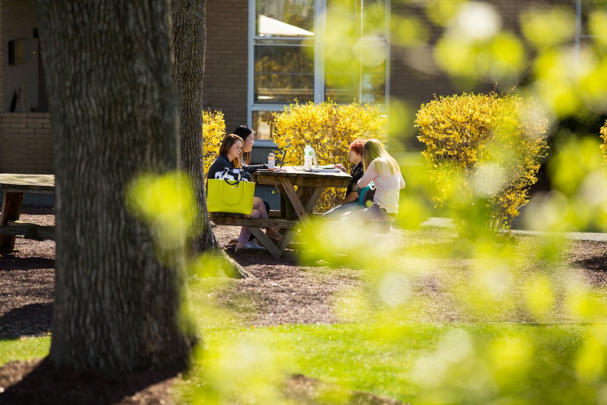 Centenary University tweet media