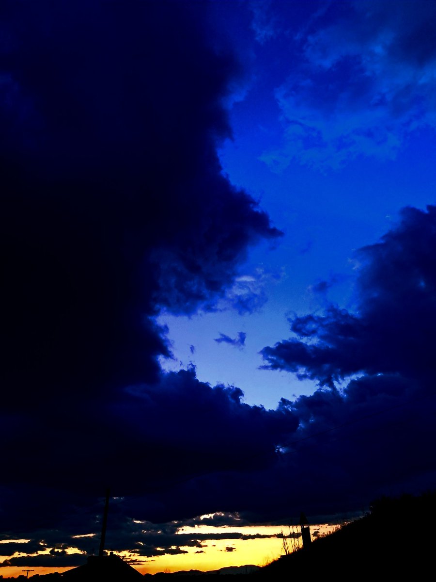 dani 🌋🟥🇻🇳🌱🌱 tweet media