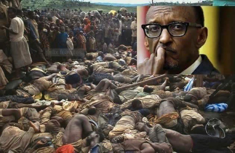 Elie Ngoyi tweet media