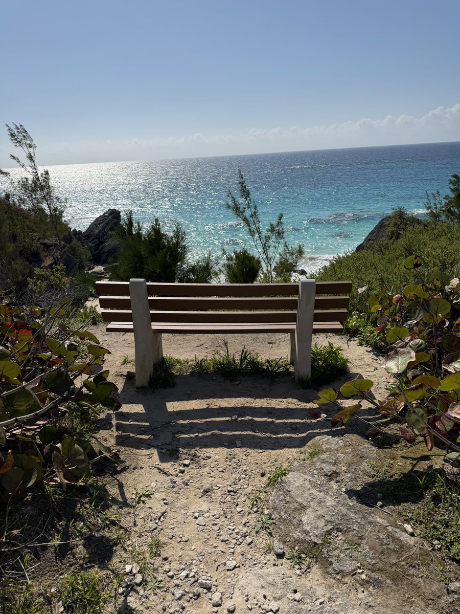 F. Rich Fitzgerald tweet media