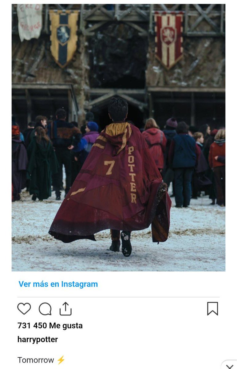 Diego Bote tweet media