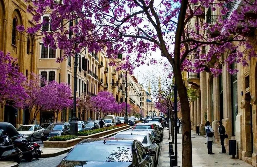 Campagnol tvl tweet media