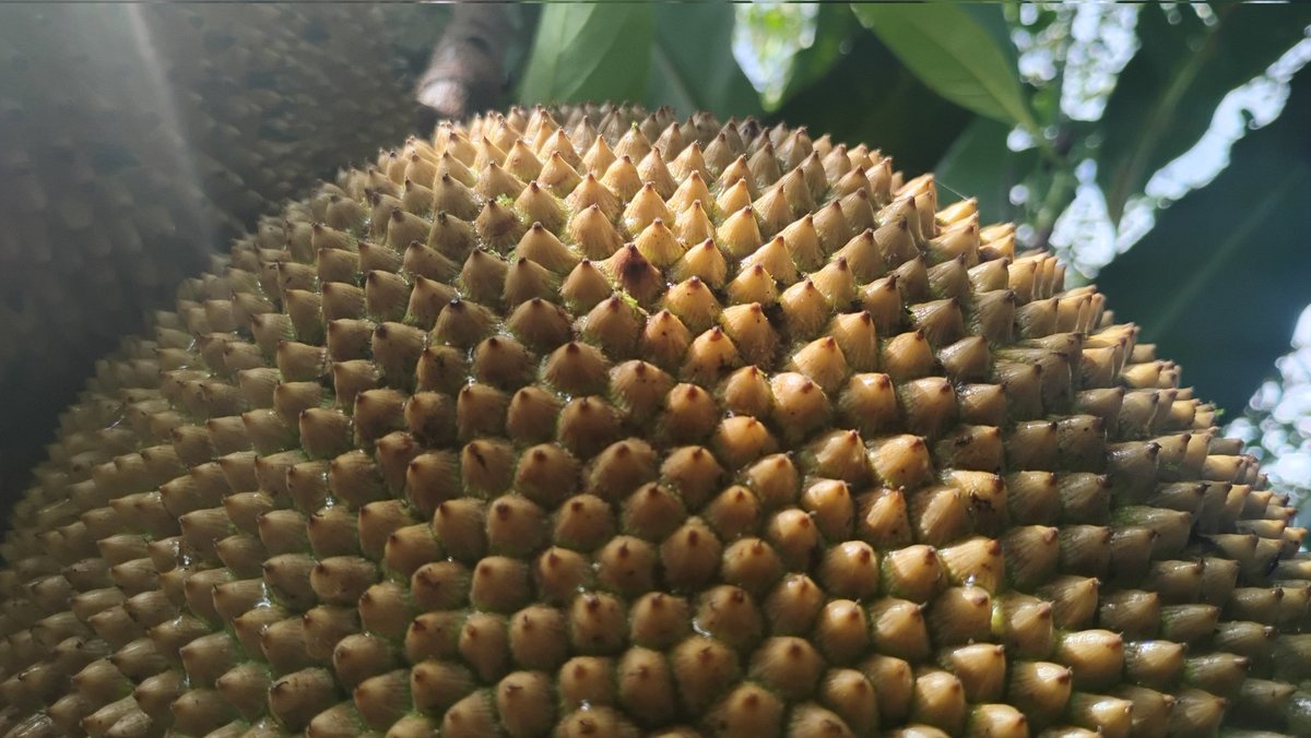 Tydyn Rain St. Clair tweet media