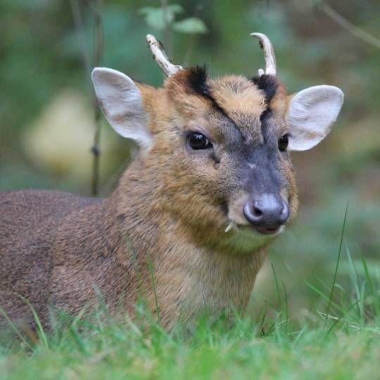 🏴☠️ kaz ♡'s wife 🎄 tweet media