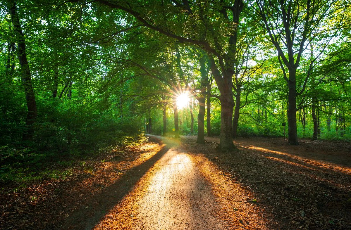 Matt Taibbi tweet media