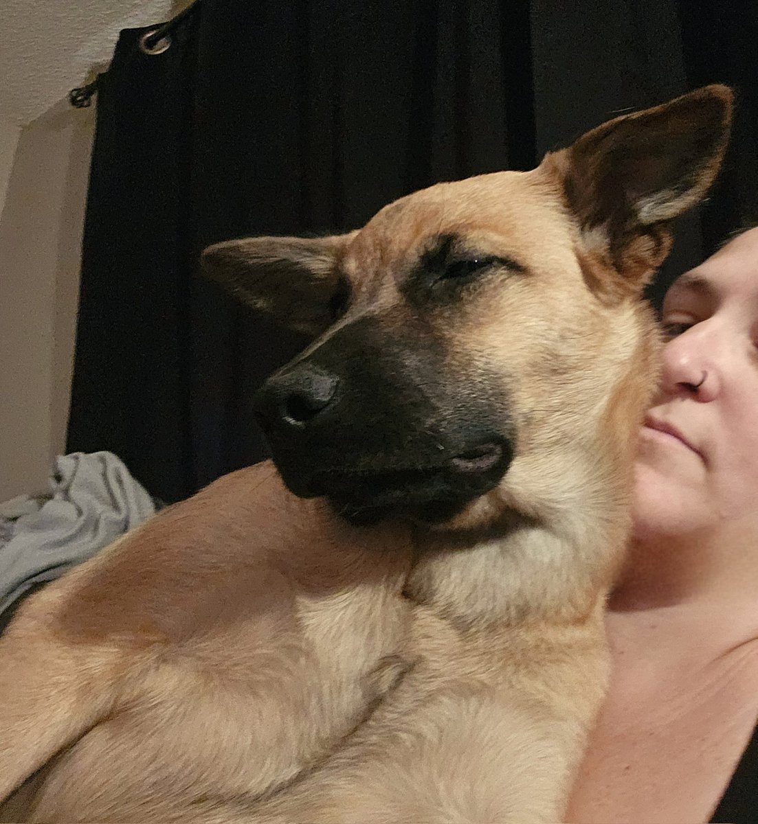 Dr. Juno J. Connor 🏴🇨🇦 tweet media