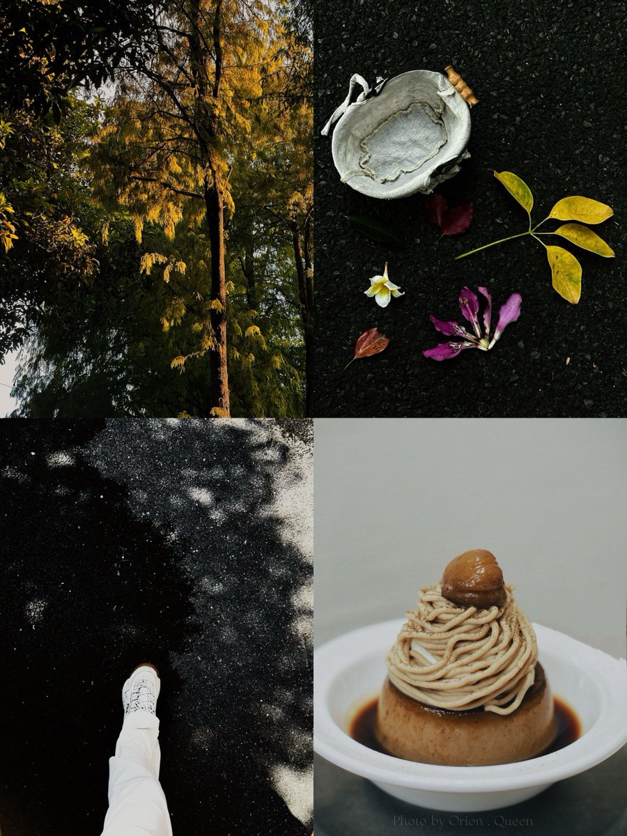 guy isotron tweet media