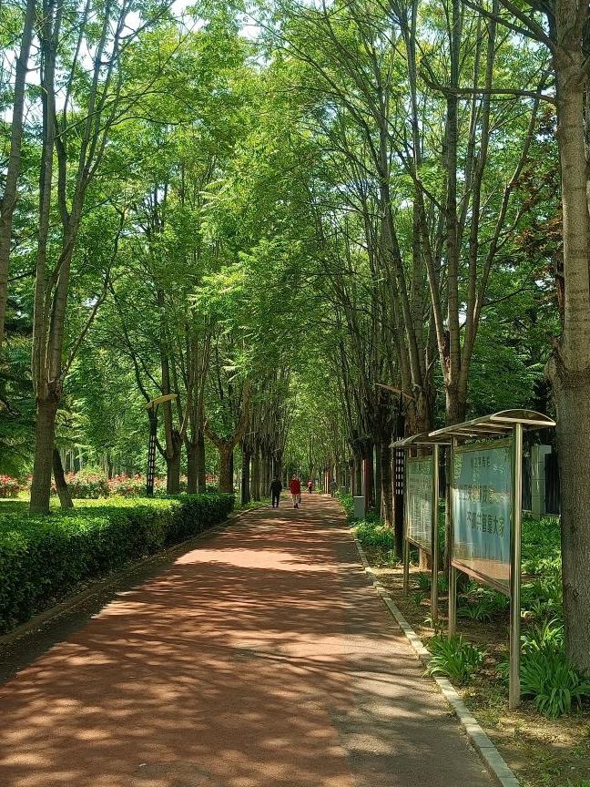 Sylwia Tkacz tweet media