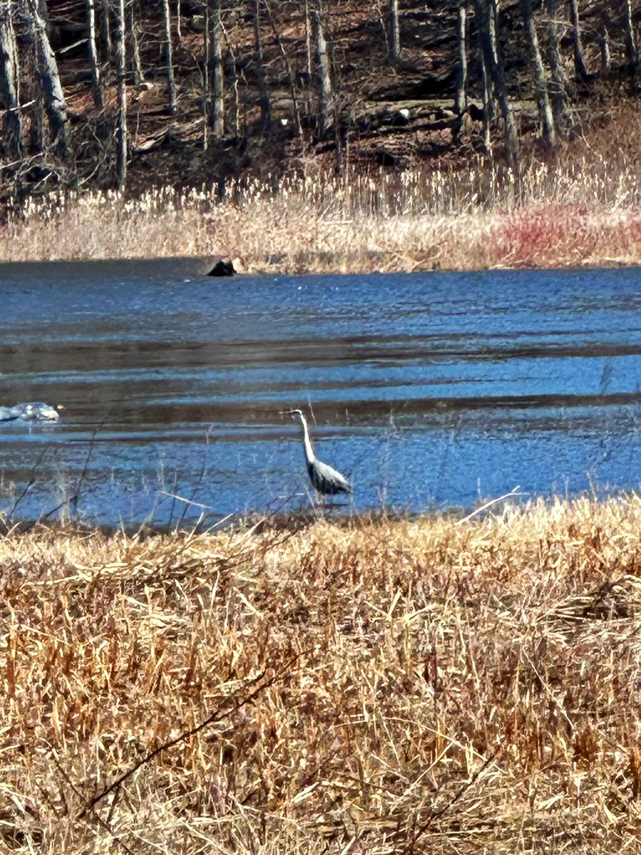 🇺🇸🖤💙🖤🇬🇧God, Family, Country tweet media
