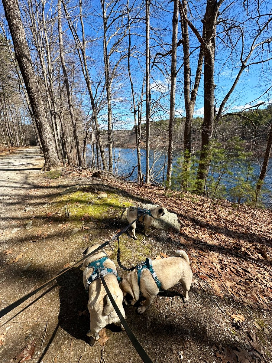 🇺🇸🖤💙🖤🇬🇧God, Family, Country tweet media