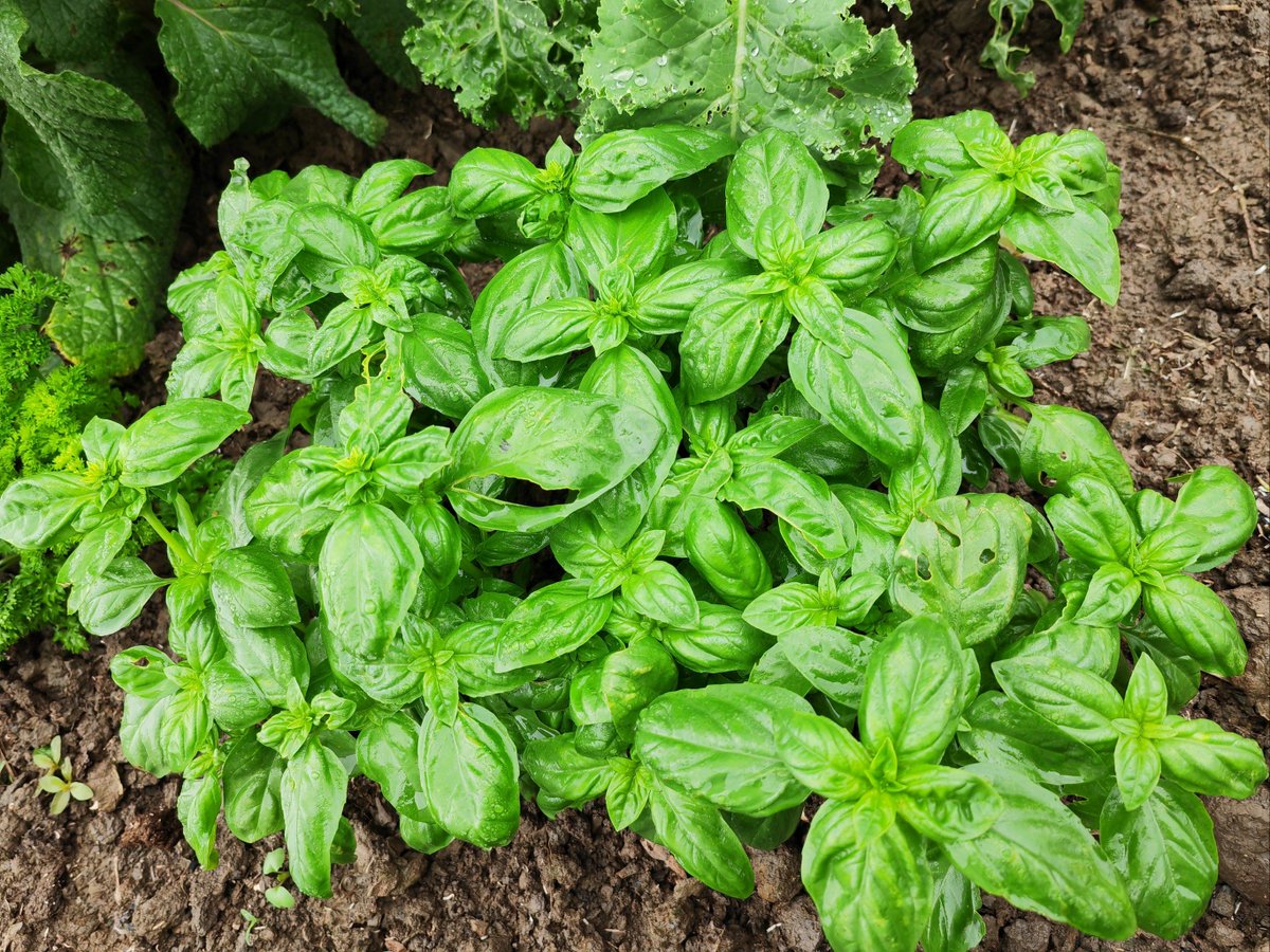 exportmart tweet media