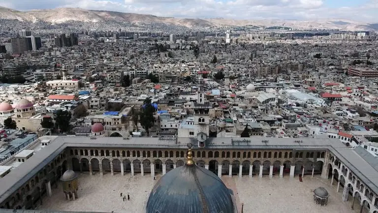 Campagnol tvl tweet media