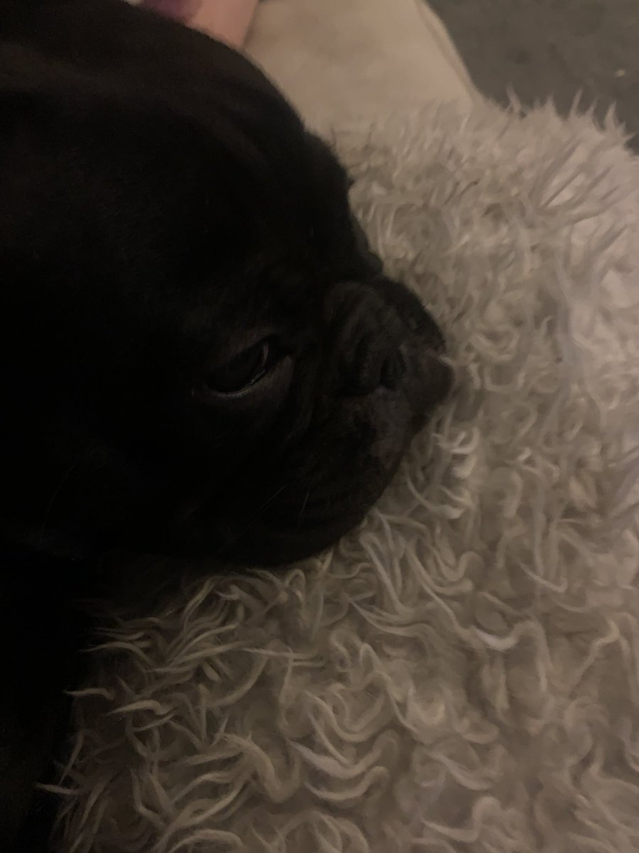 Daisy cliff 🐄 tweet media