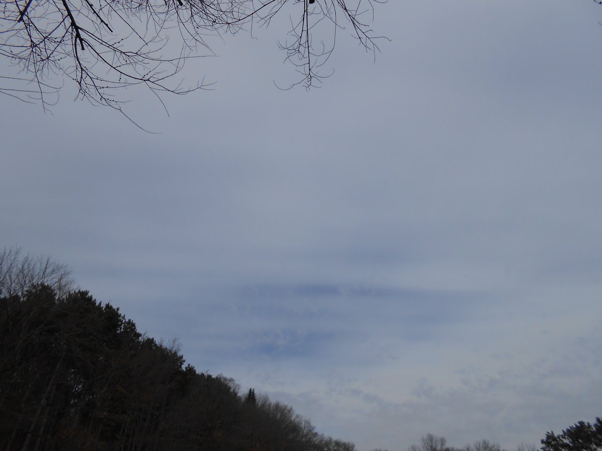 CHUCK HARRIS THE RIVER HERO tweet media