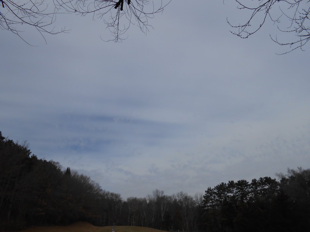 CHUCK HARRIS THE RIVER HERO tweet media