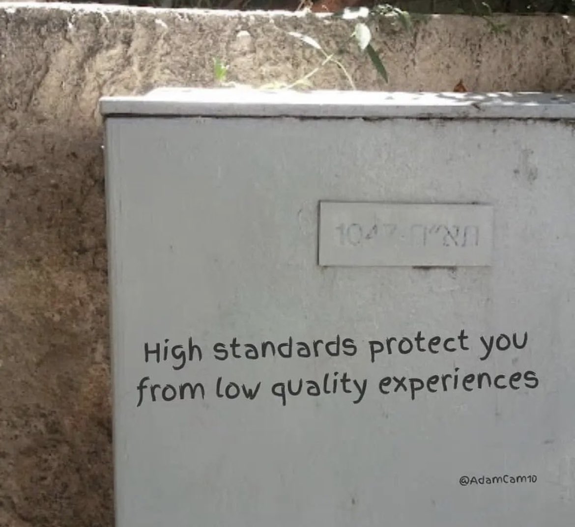 Maxwell 🕊 tweet media