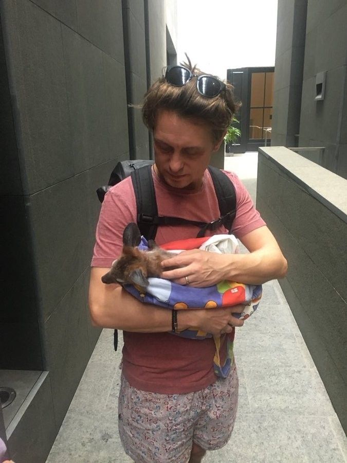 gary barlow’s budgie smugglers tweet media