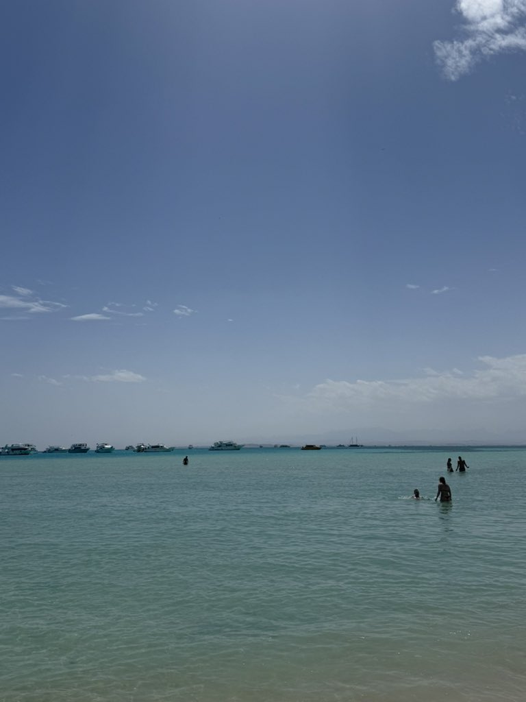 Shargi Ballon d'or🕺 tweet media