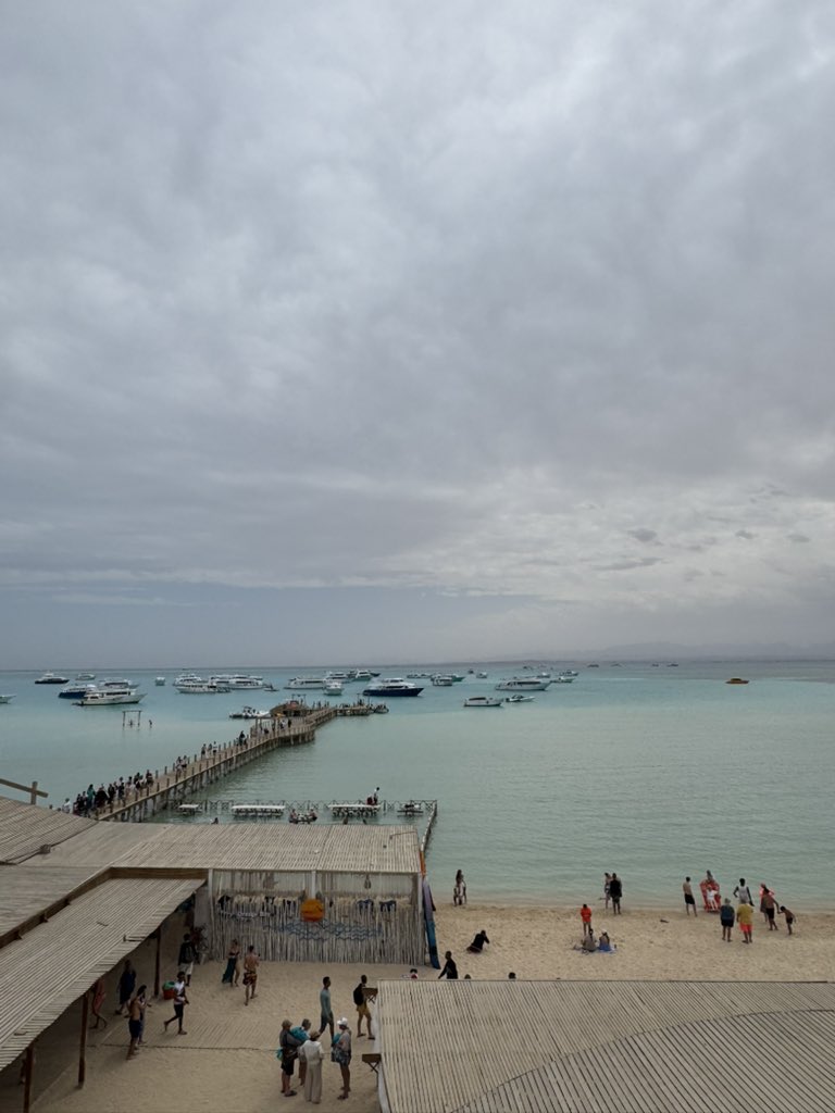 Shargi Ballon d'or🕺 tweet media