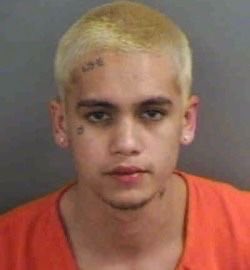 Bri 𐙚₊ ✚ tweet media