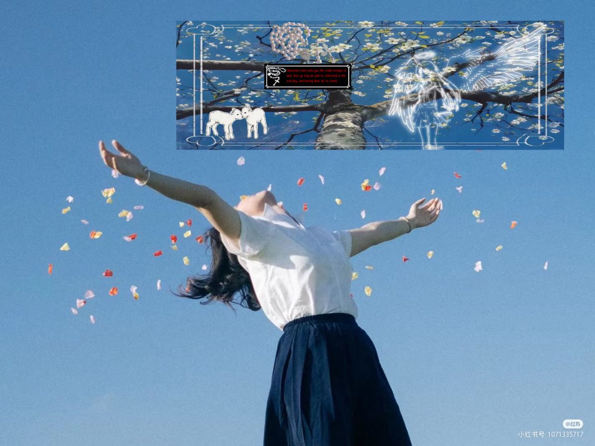 twilightprinc3ss.eth ✞ tweet media