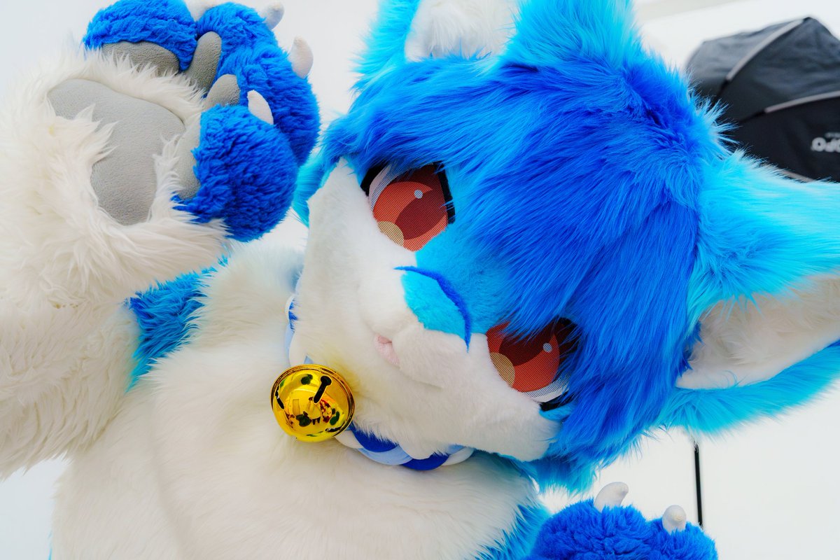 치야🌟(크잉🦈)🔜퍼클(서울) tweet media