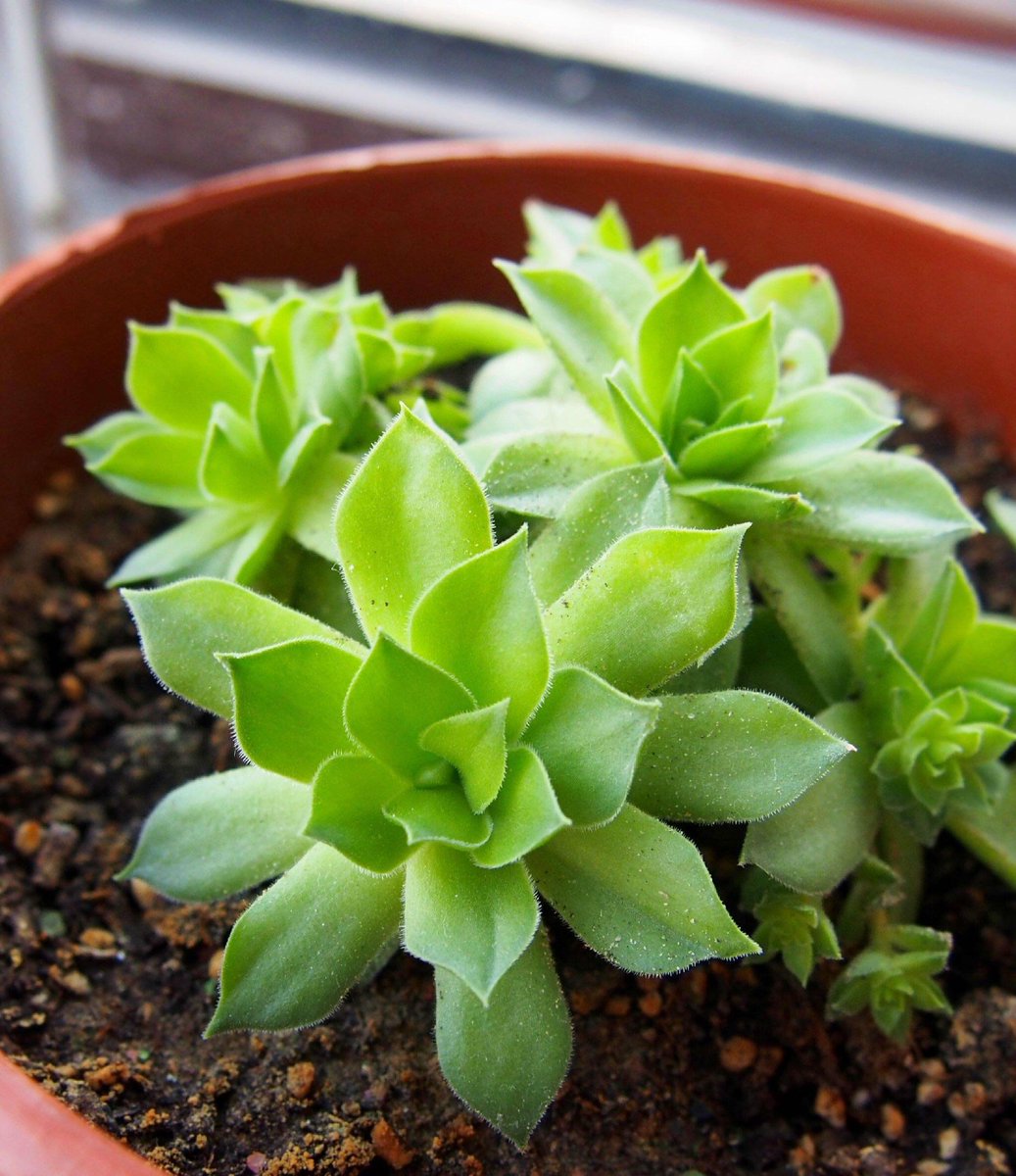 Jatin vaidya tweet media