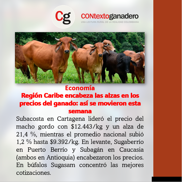 Sur de Bolivar Pasion Ganadera tweet media