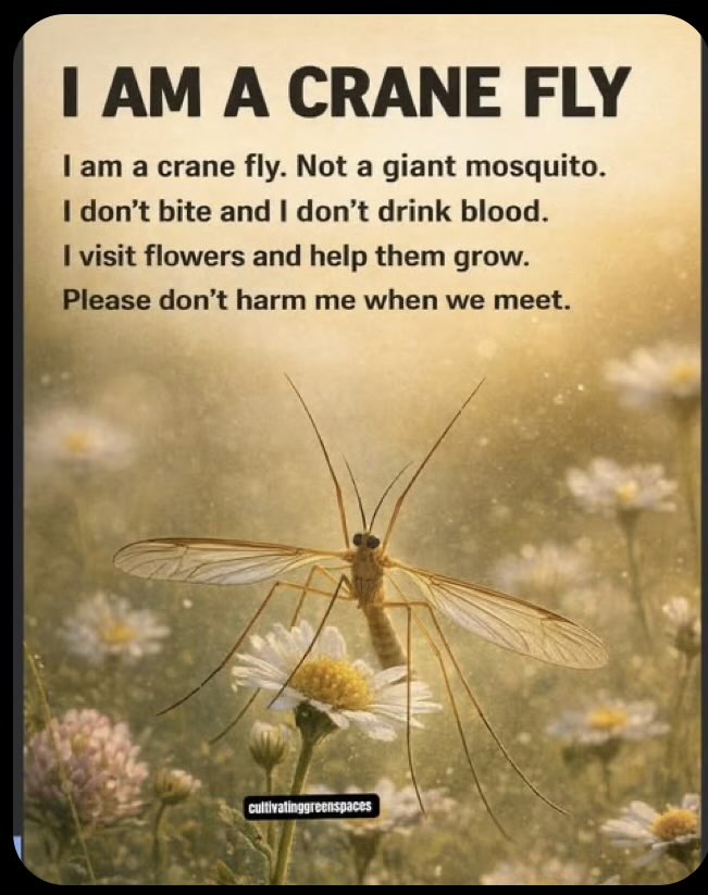 🇺🇸Eileen 🇺🇸 tweet media