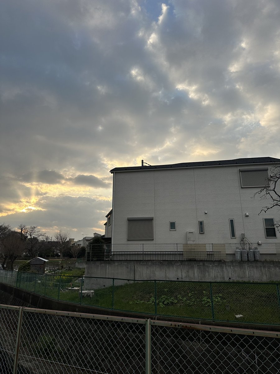 くまごろう tweet media