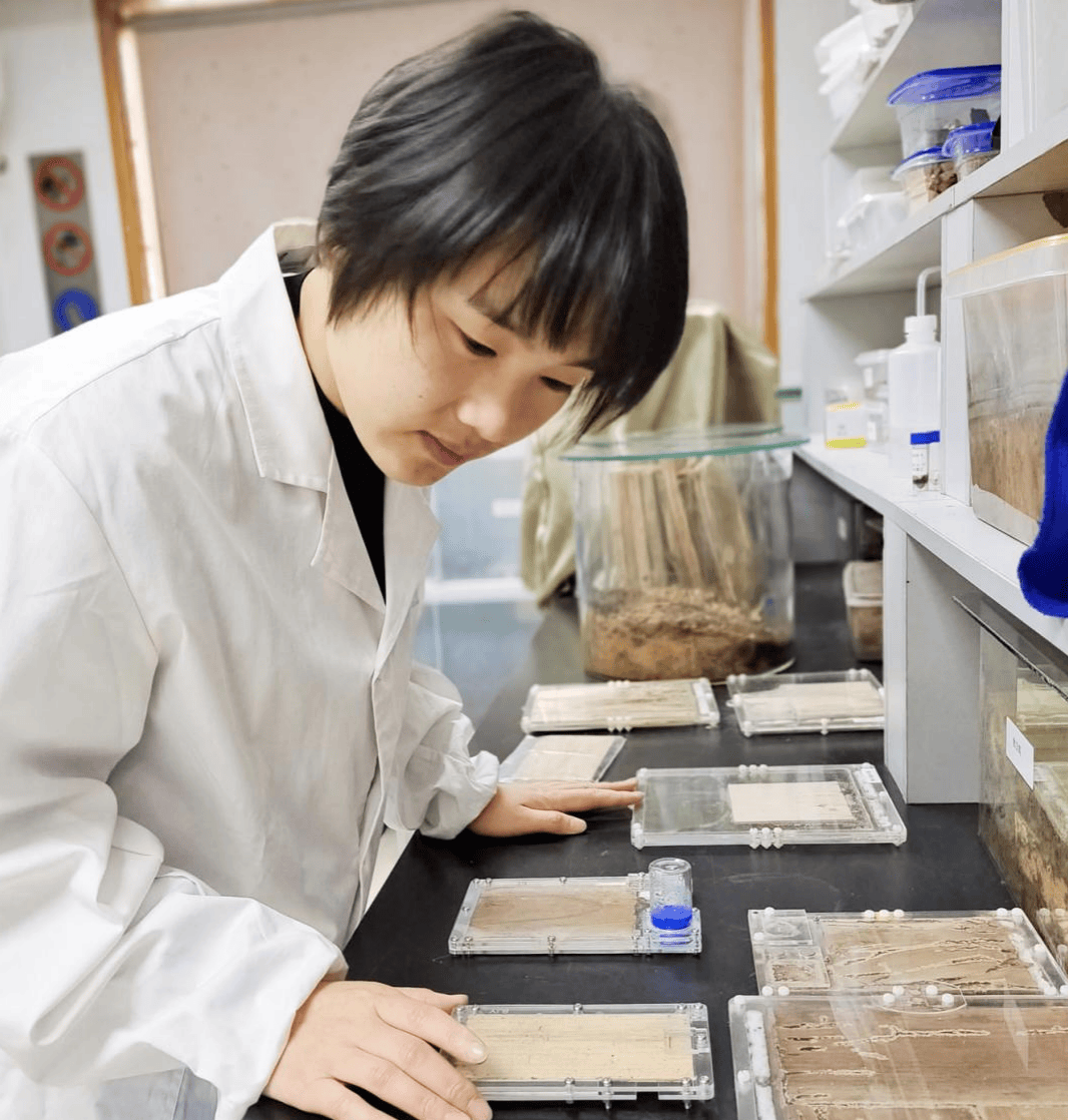 cesaremanco tweet media