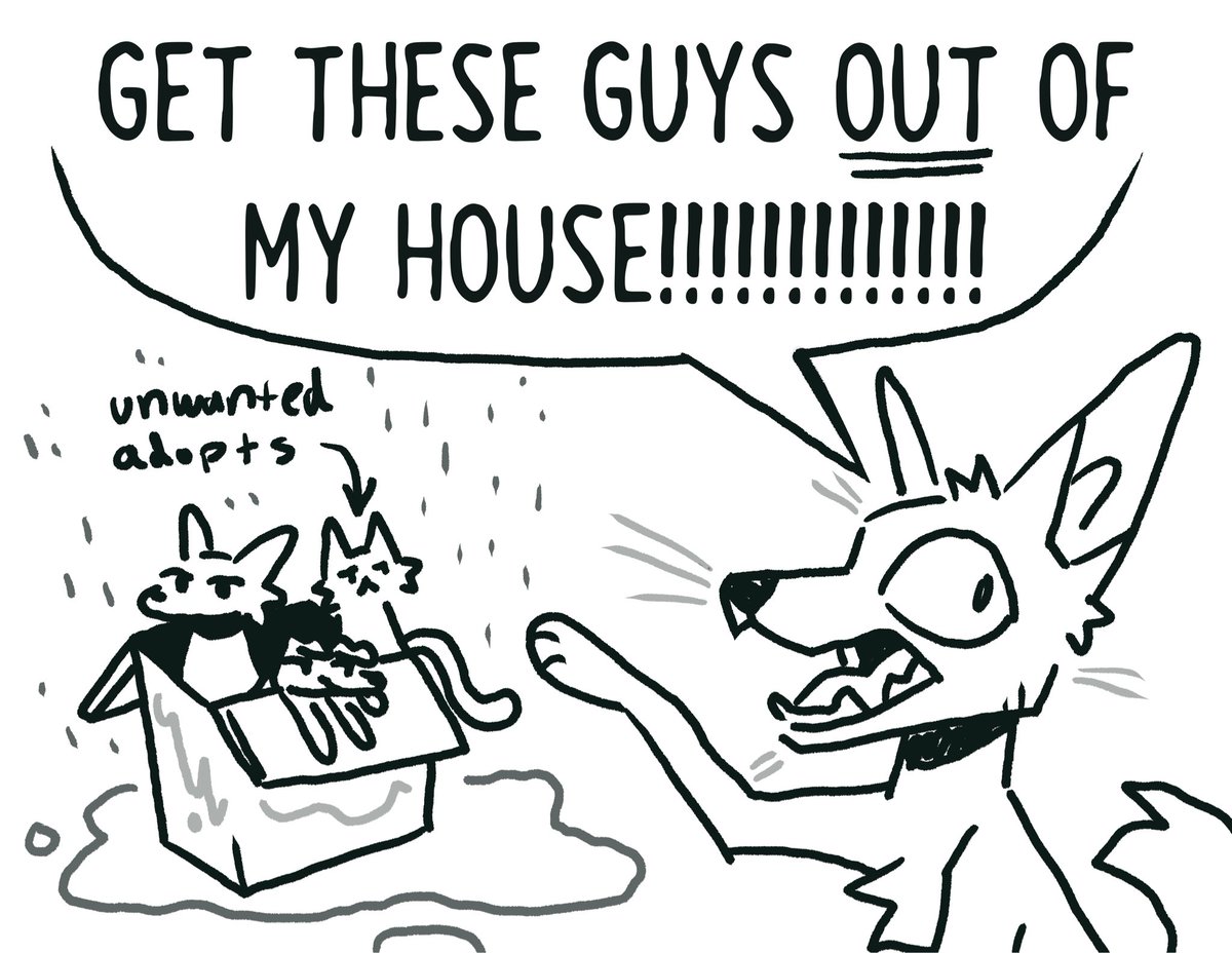 Kian !! 🏴‍☠️ (pitt spoilers) tweet media