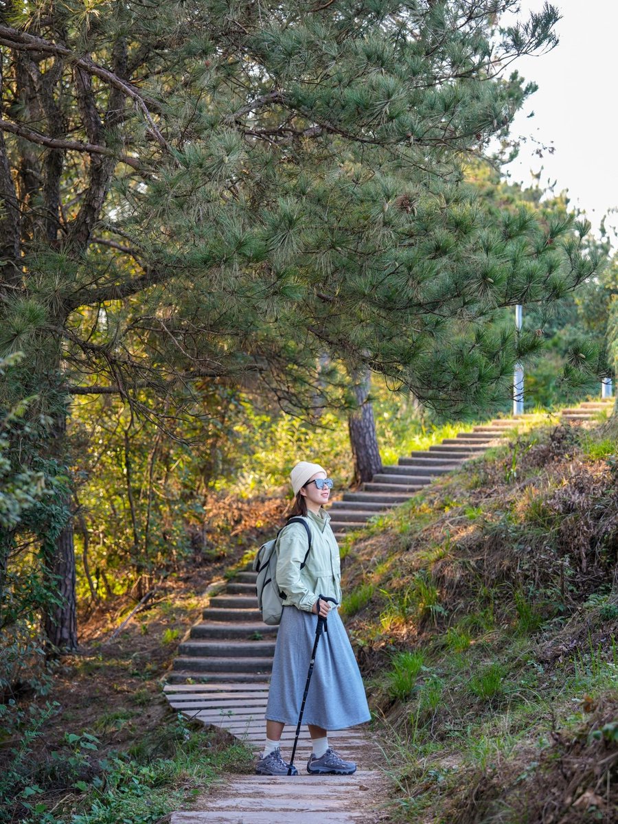 delaye nicolas tweet media