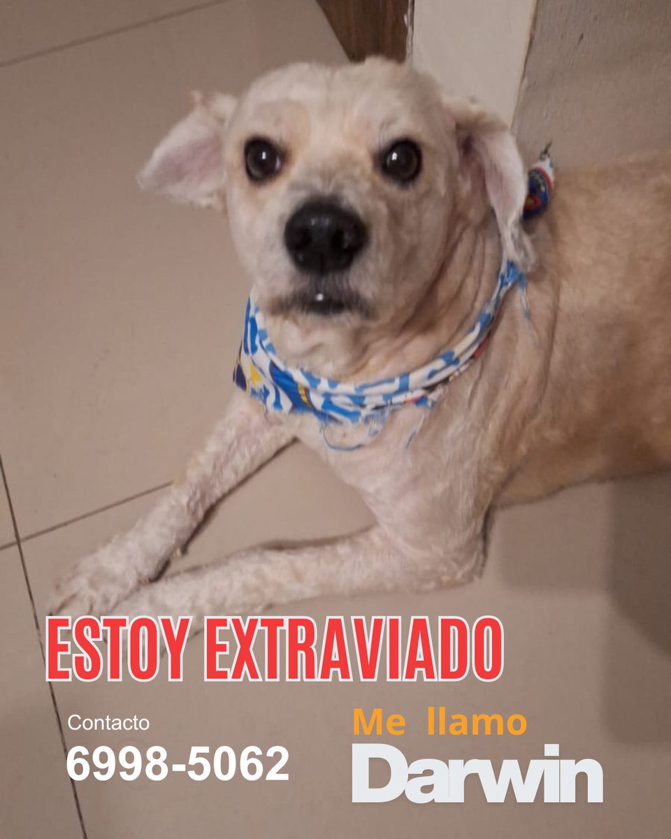 Lyss 🇸🇻 tweet media