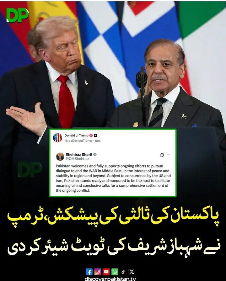Rozina Faisal tweet media