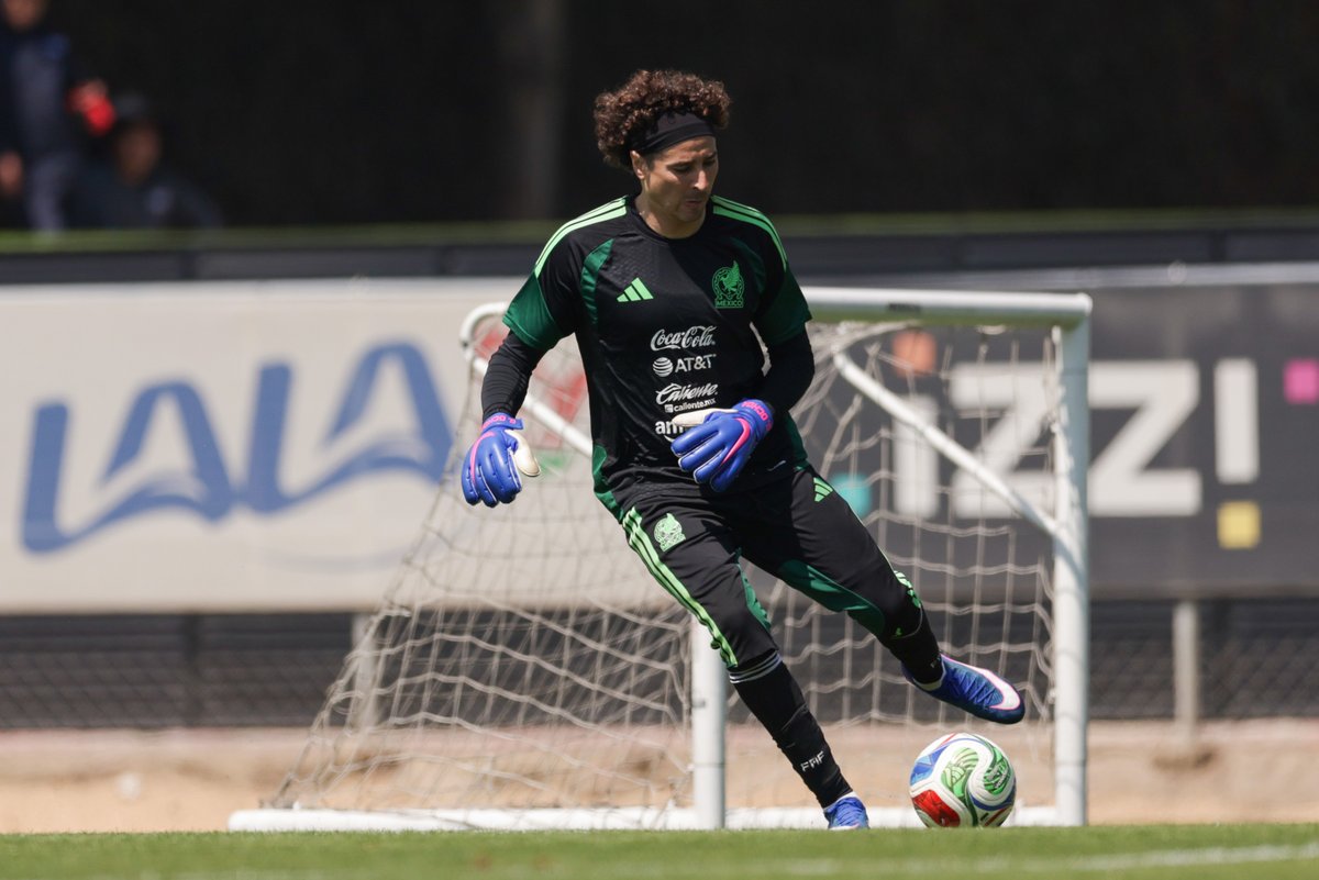 LUIS CASTILLO tweet media