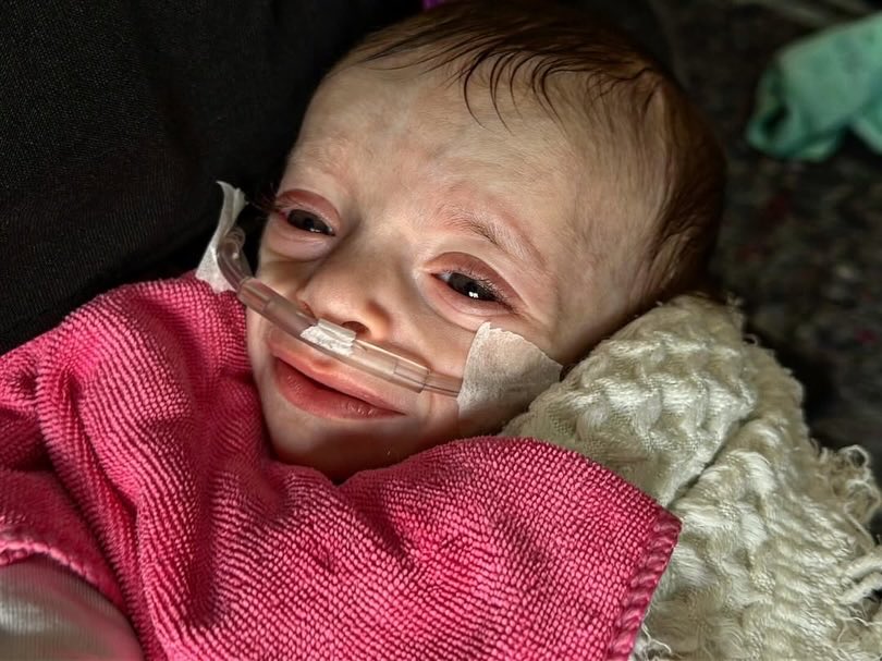 Eye on Palestine tweet media