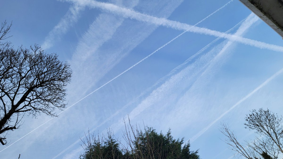 Bartchelin tweet media